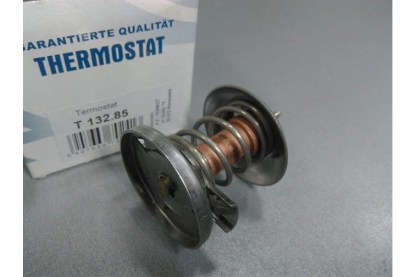 Термостат вставка (пр-во STAHLTER) Mercedes Sprinter 2.3D, 2.9TDI >00, OM601,OM602, 6042030075