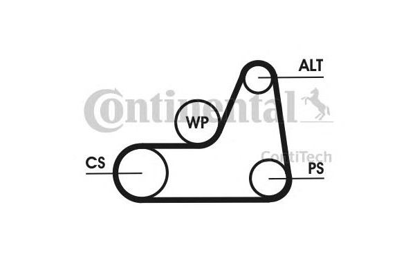 Поликлиновой ремень генератора CONTITECH FORD FIESTA 1.25